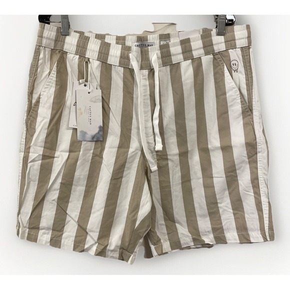 Cactus Man Ricky Singh NWT Men's Size Large EW Striped Flat Front Chino Shorts - Picture 1 of 16